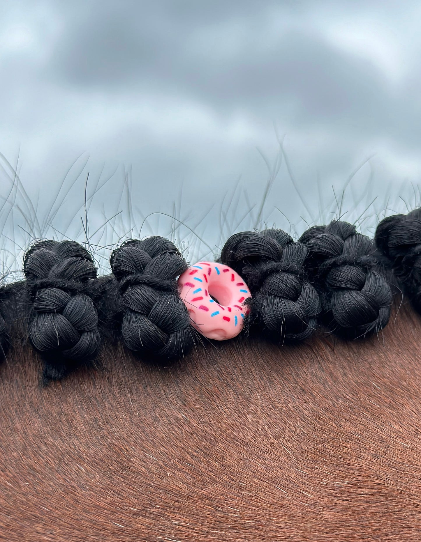 Donut Braid Charm