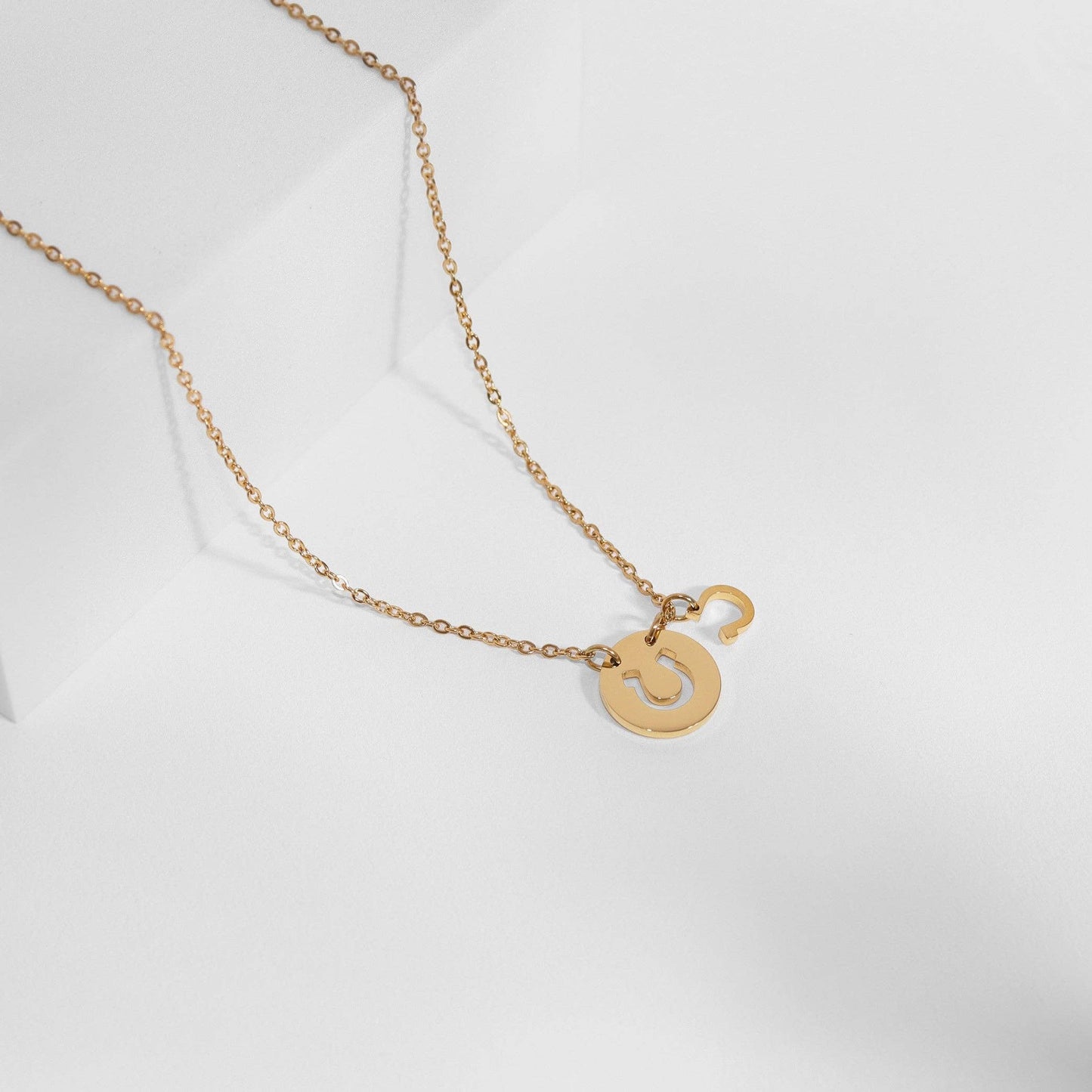 Horseshoe Charm Necklace
