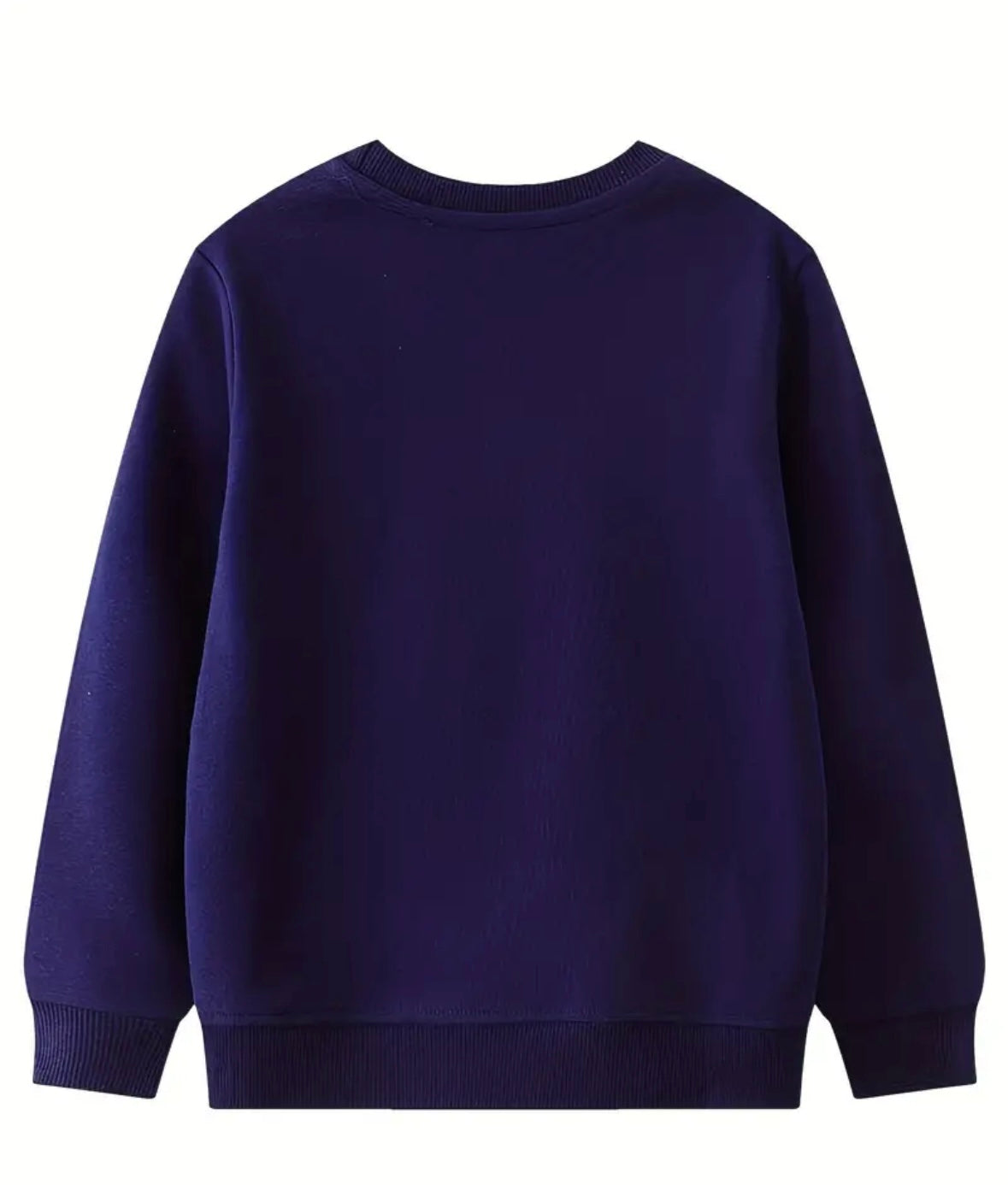 back of pony sweatshirt