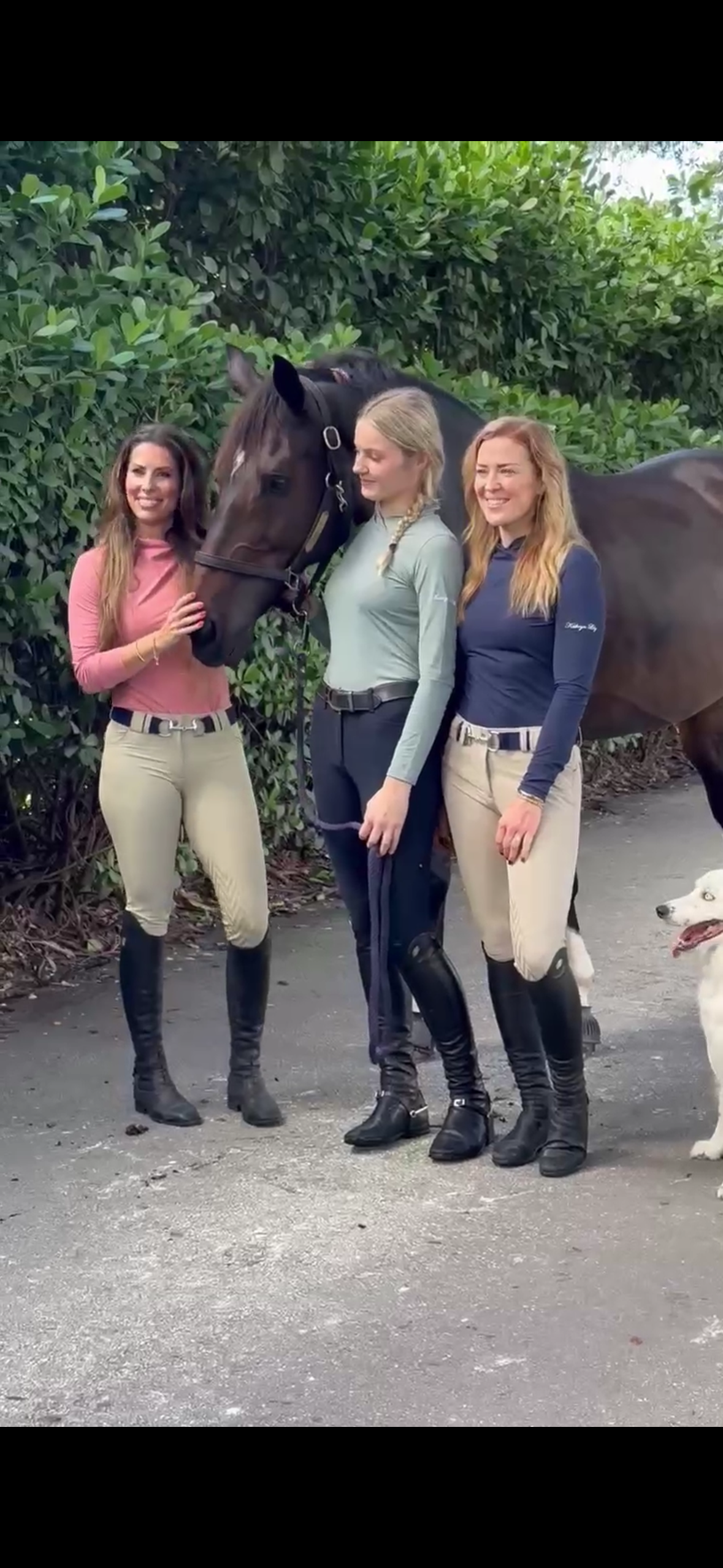 Three women wearing mesh mock neck riding top, standing with a horse.  Tops are in pink, seafoam and navy