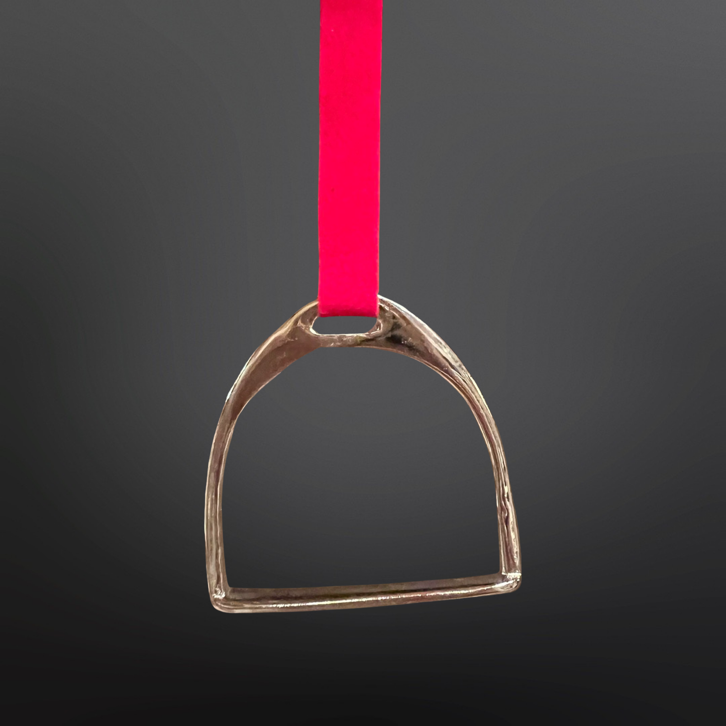 Gold Metal stirrup on a red ribbon against a dark background