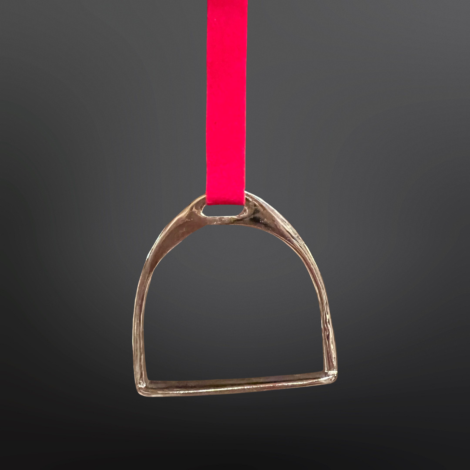 Gold Metal stirrup on a red ribbon against a dark background