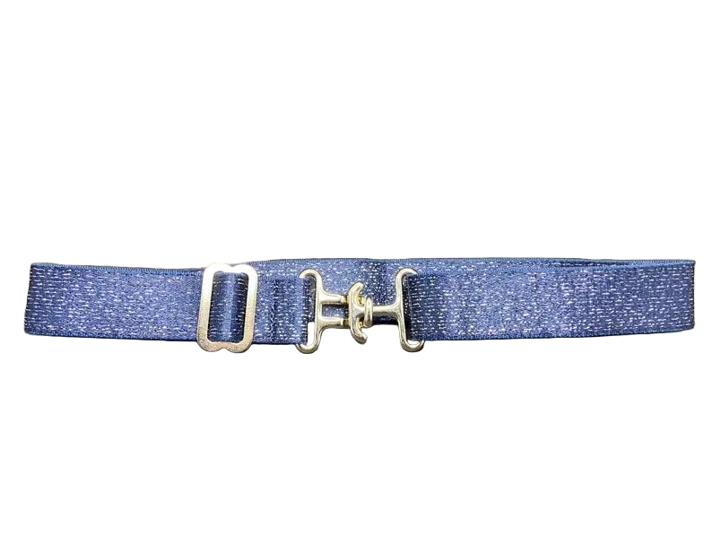 Blue belt with a gold buckle on a white background
